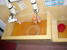水道管洗浄
